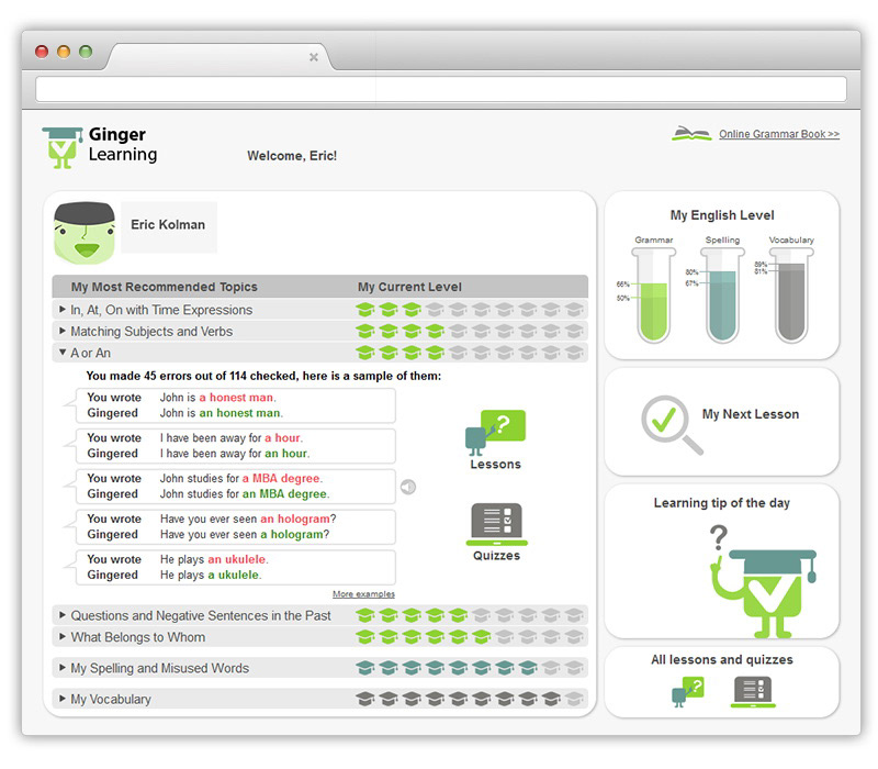 Ginger software Web and UI, picture 3
